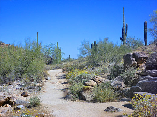 Waddell Trail