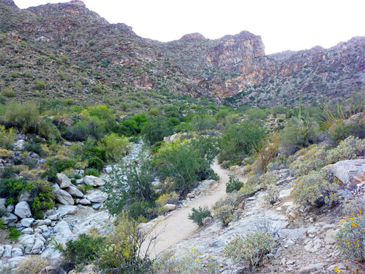 Waterfall Canyon