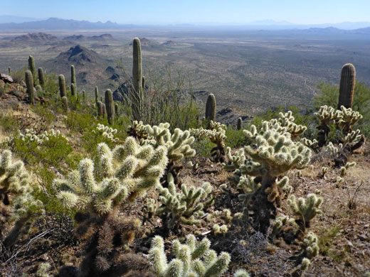 Ironwood Forest National Monument