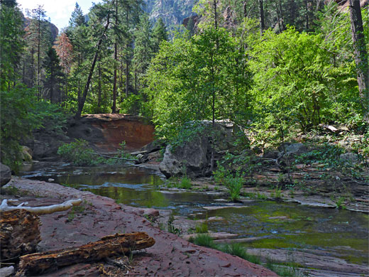 Logs on a red bench, towards the end of the trail