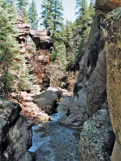 Narrow part of Meadow Canyon