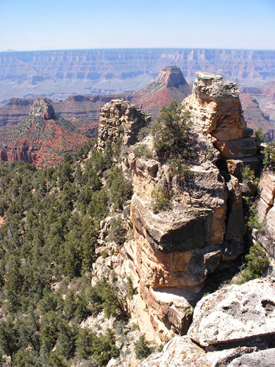 View south from Widforss Point