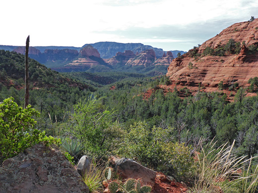 View back down Wilson Canyon