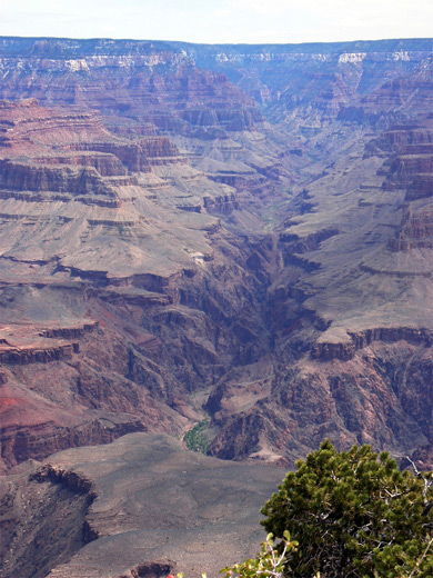 Bright Angel Canyon