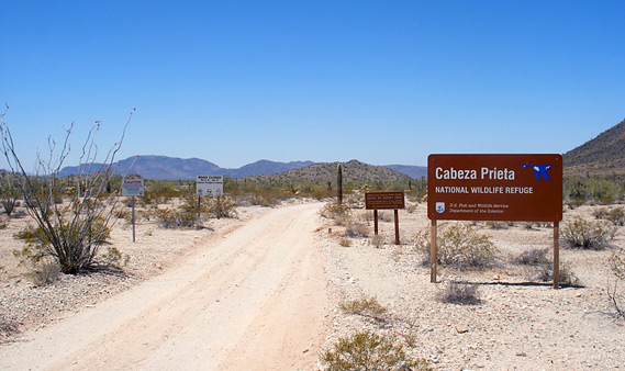 Cabeza Prieta National Wildlife Refuge, Arizona