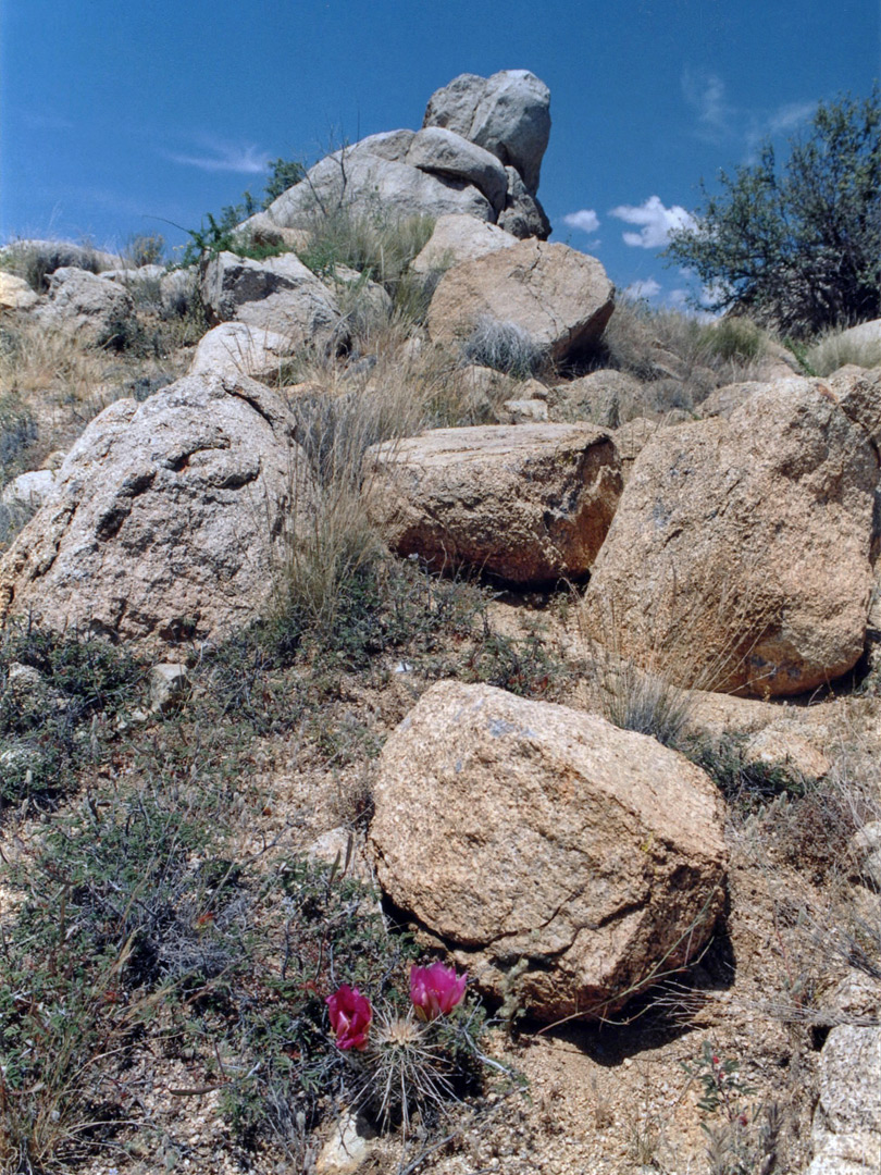 Granite boulders