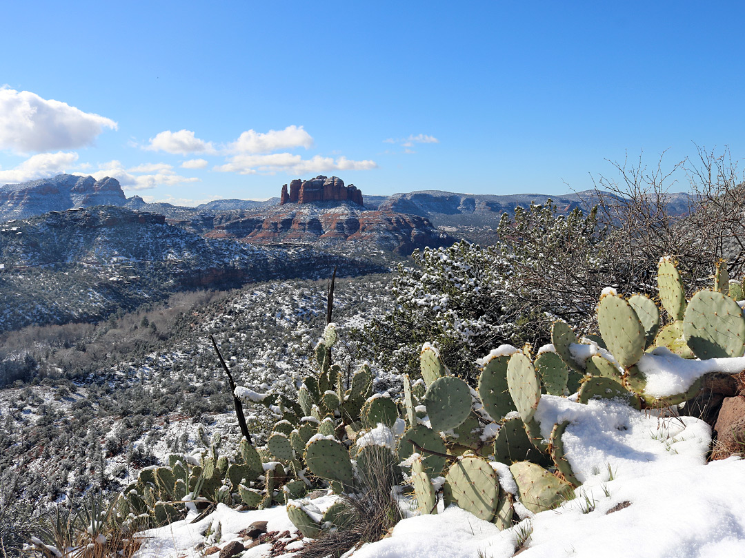 Cathedral Rock