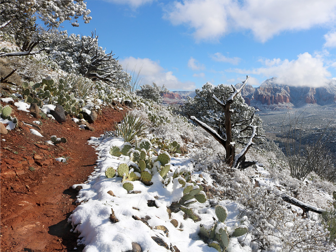 South side of the mesa