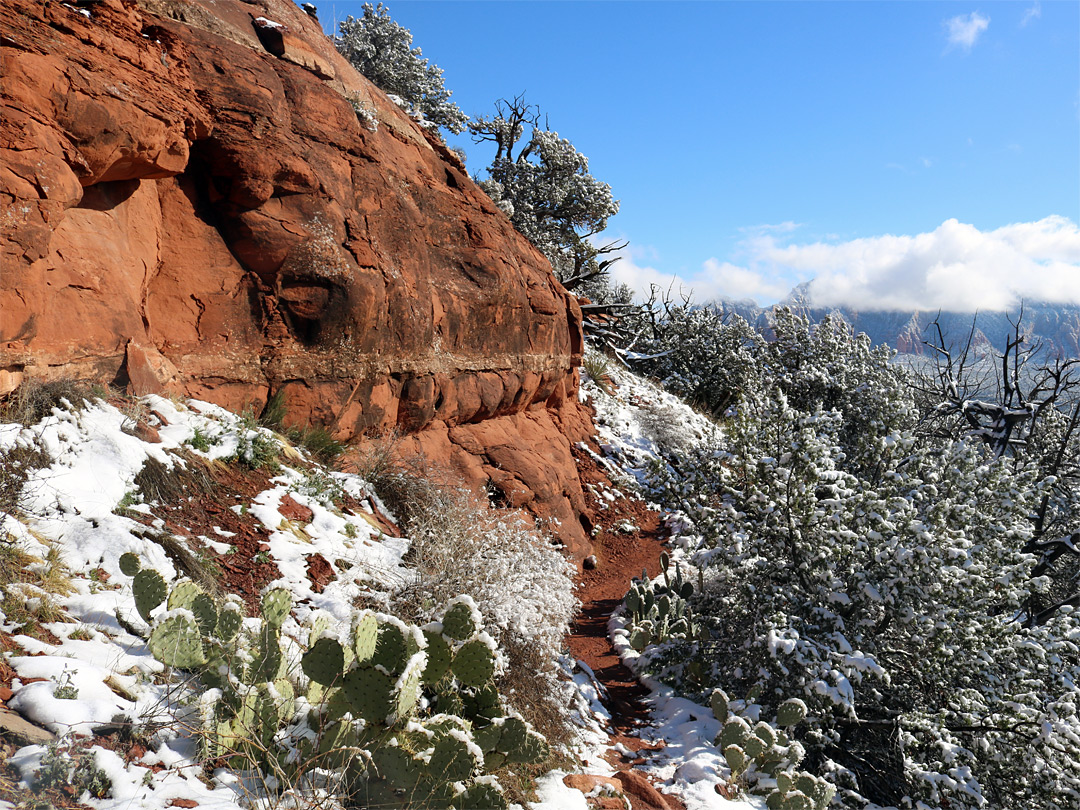 Low red cliff