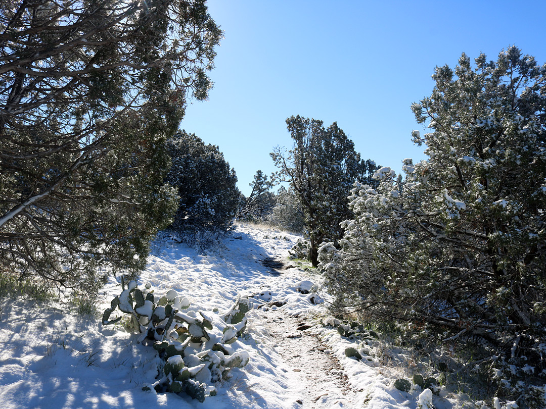 Snow on the path