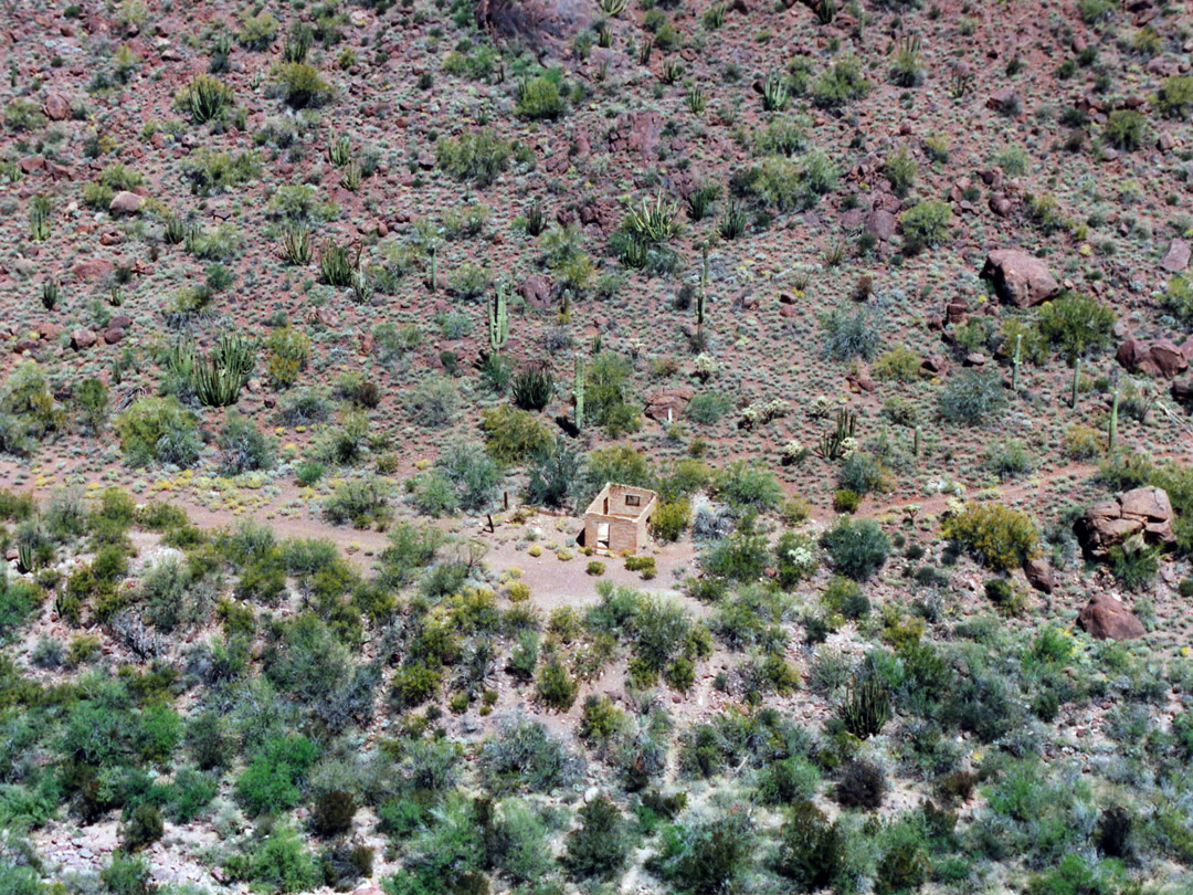 Ruined house along the trail