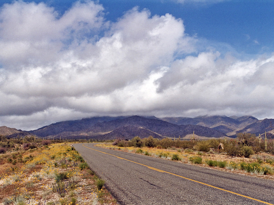 Road approaching the Harcuvar Mountains