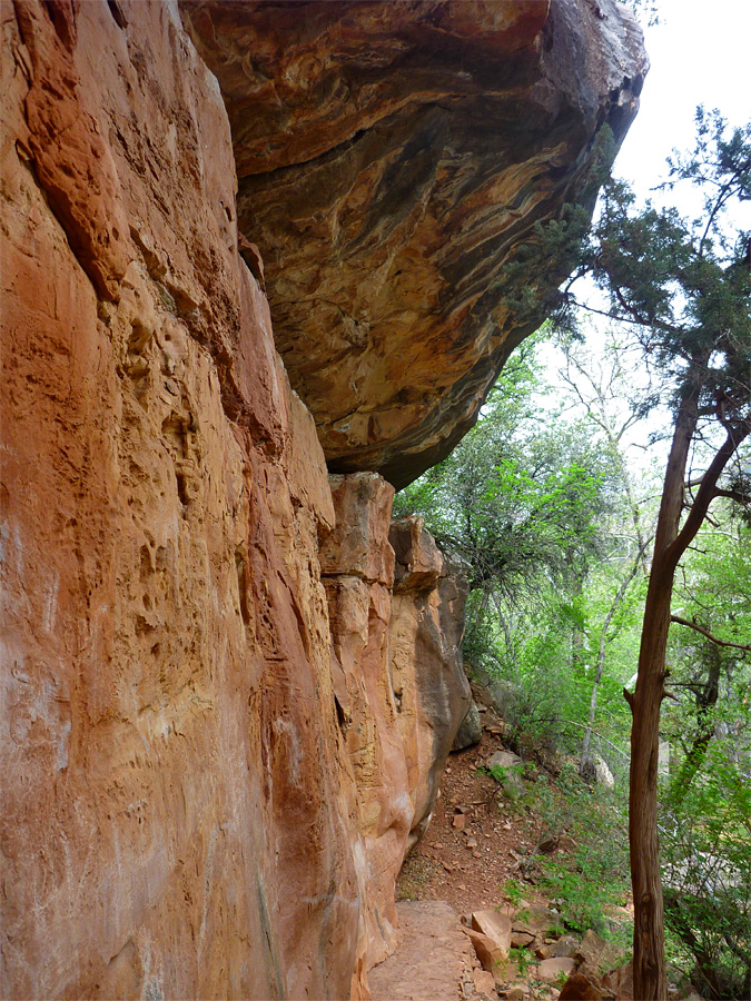 Supai cliffs