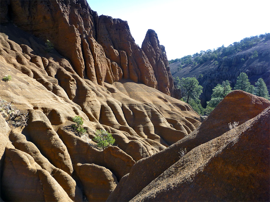 Pinnacles and fins