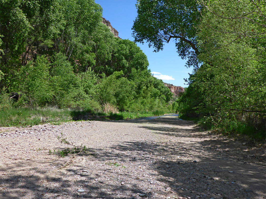 Dry creekbed