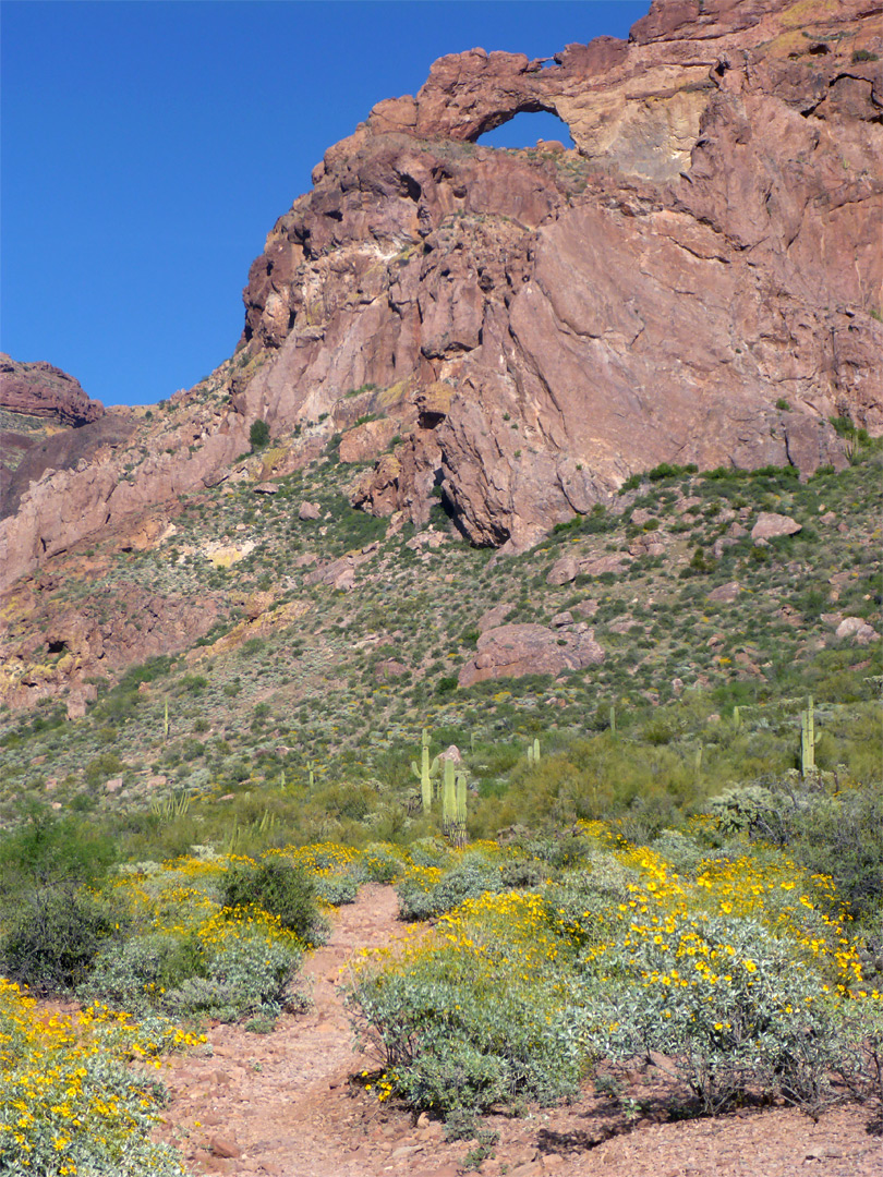 Path to the arch