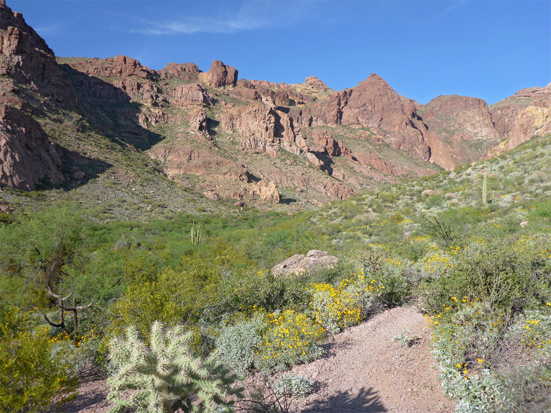 Mouth of the canyon