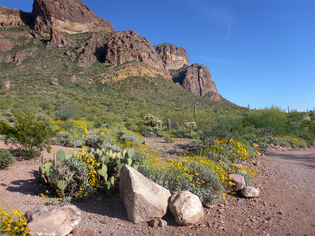 The trailhead