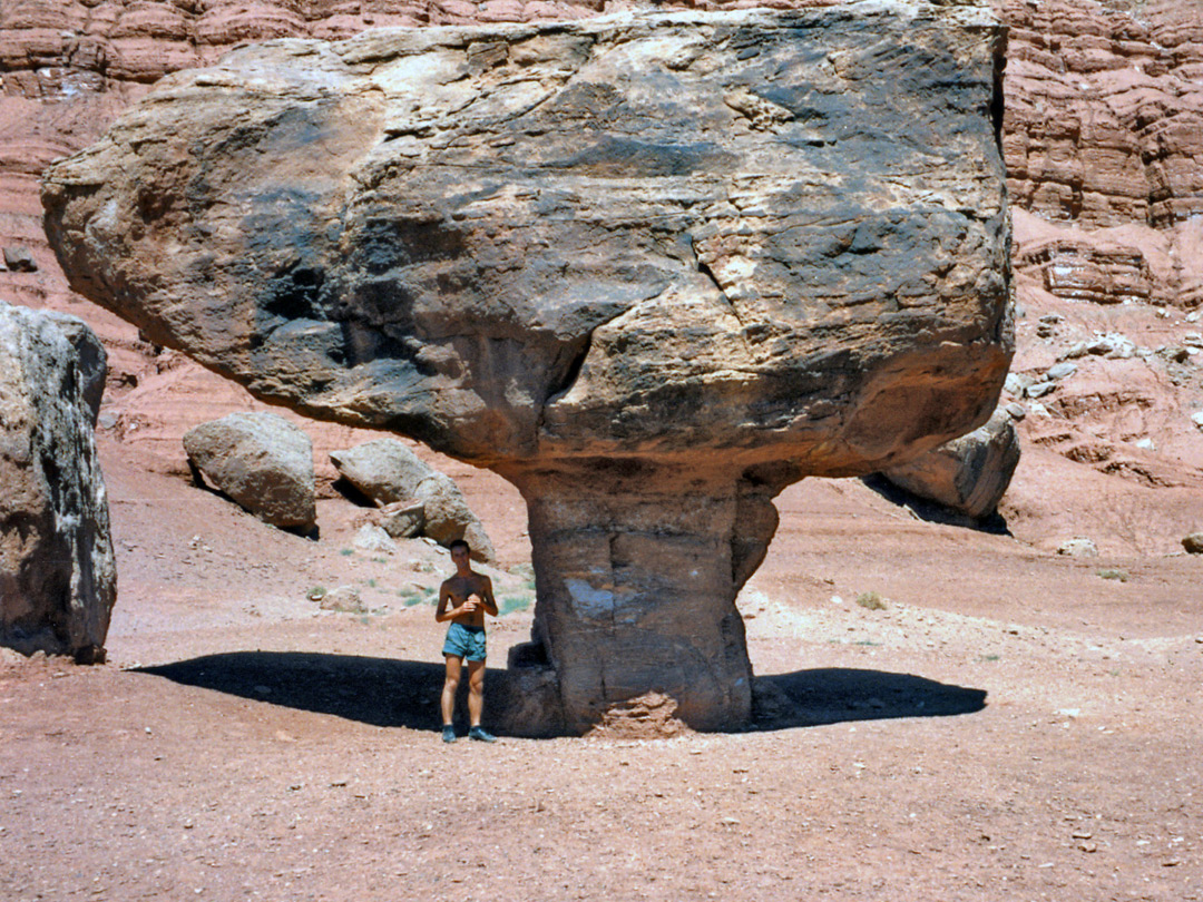 Mushroom rock