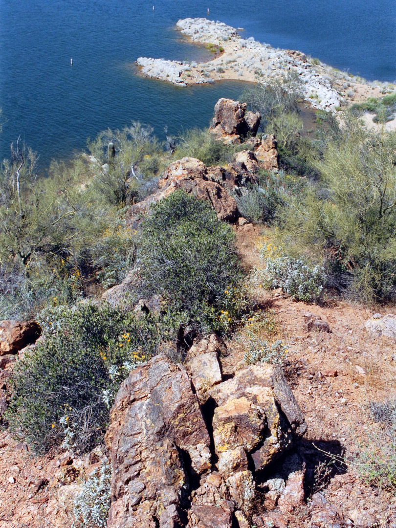 Dike