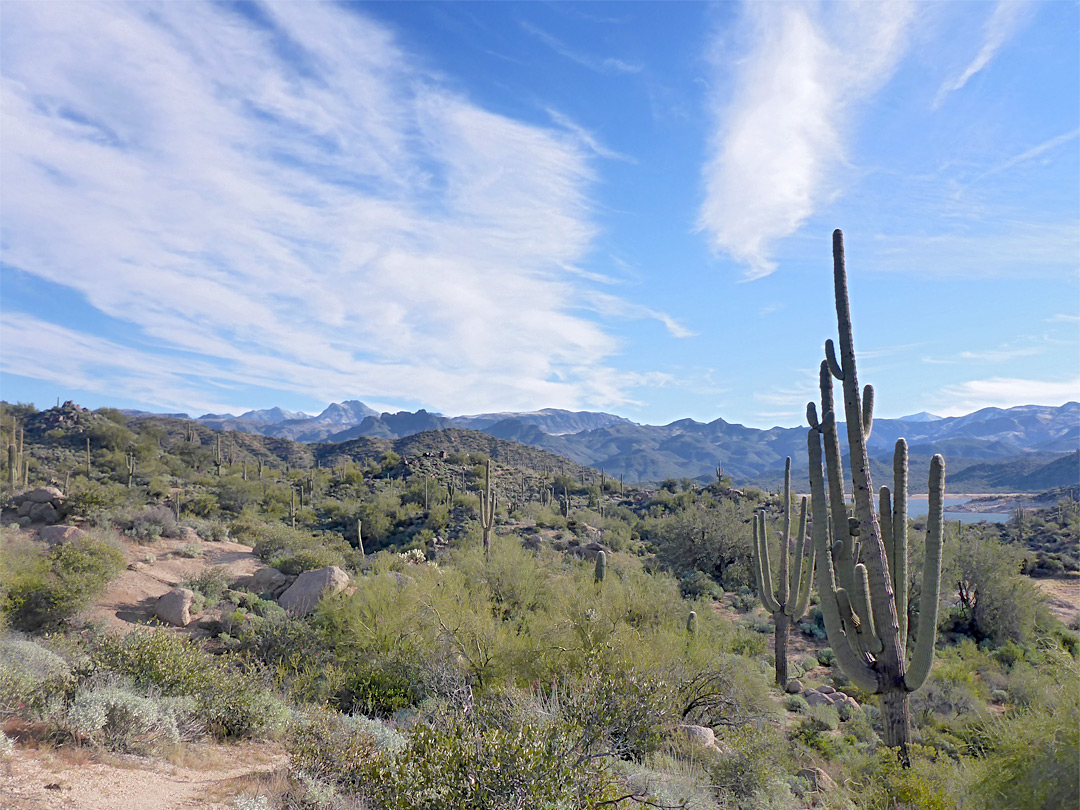 Mountains to the north