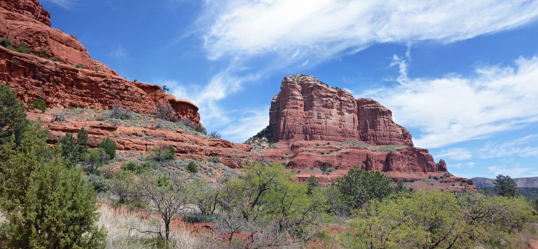 Bushes below Bell Rock