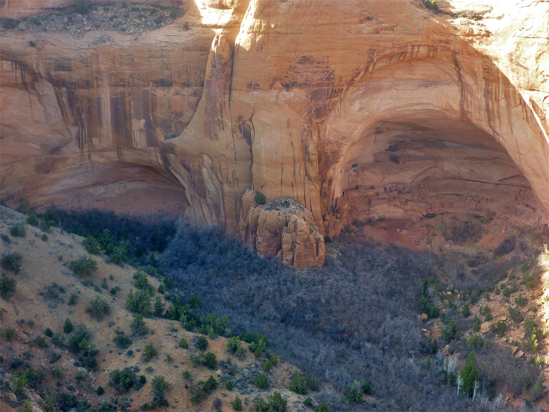 Betatakin Canyon