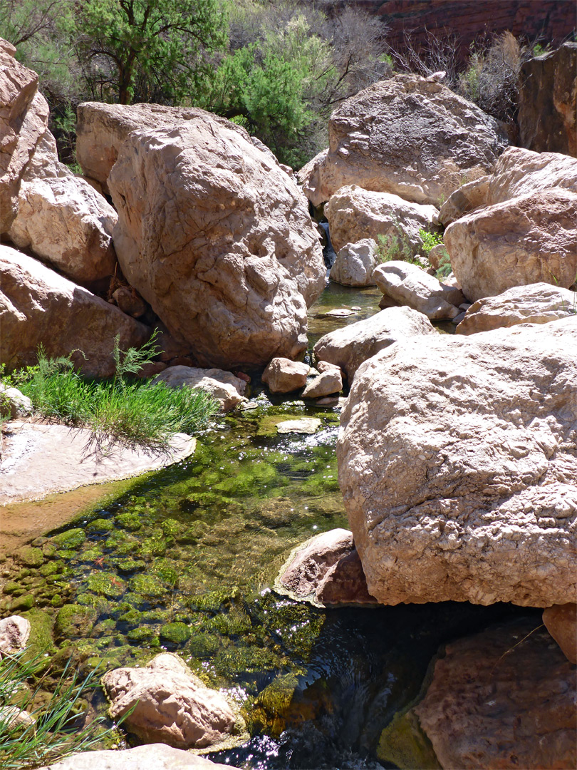 Stream in Big Canyon