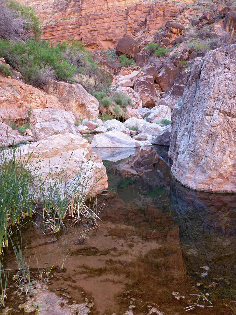 Reflecting pool