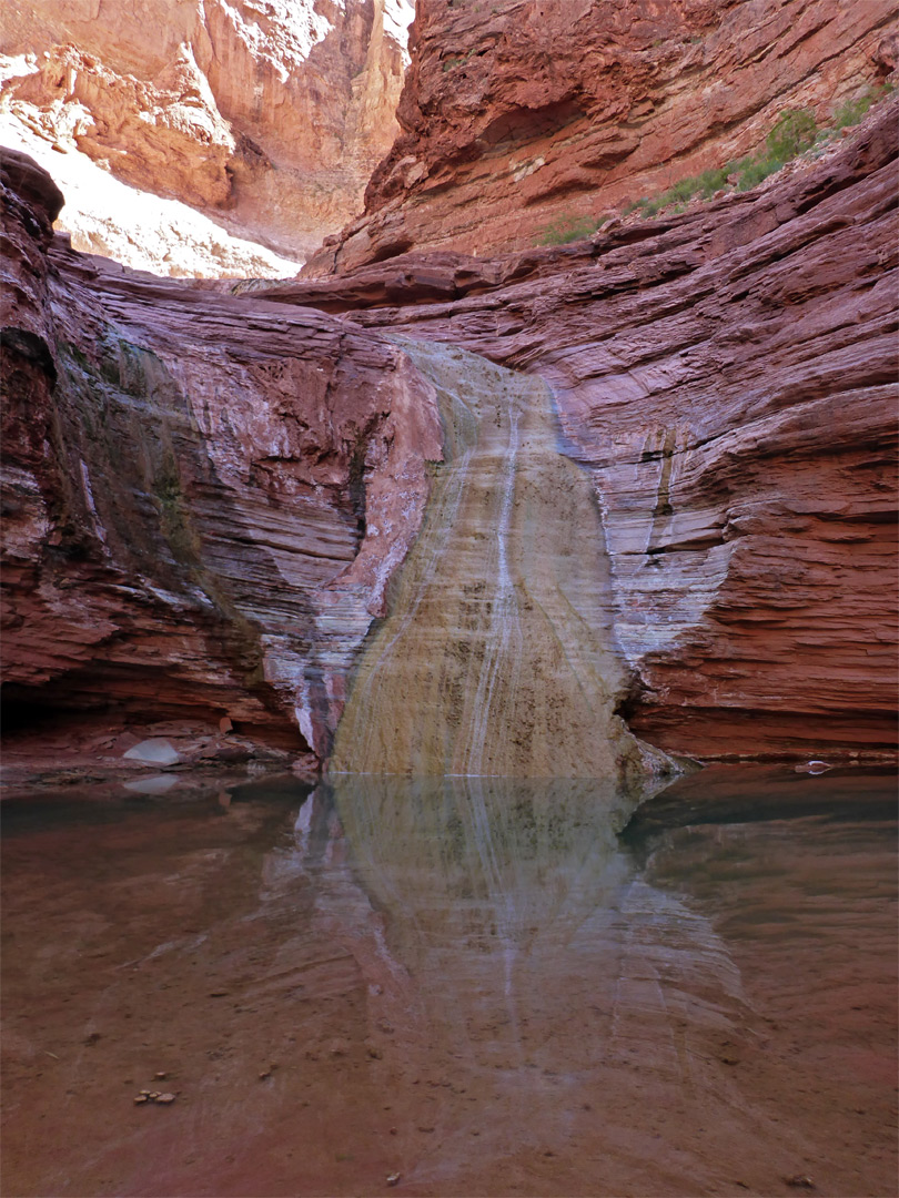 Large pool