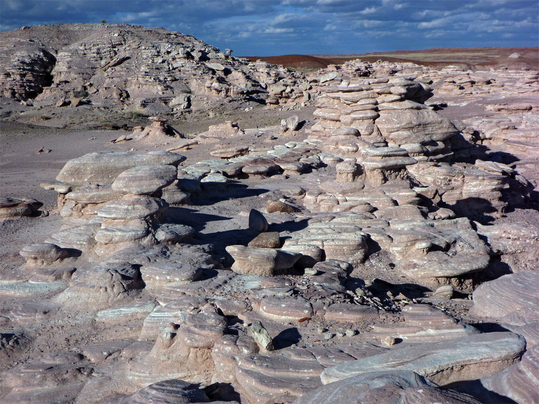 Thin-layered sandstone