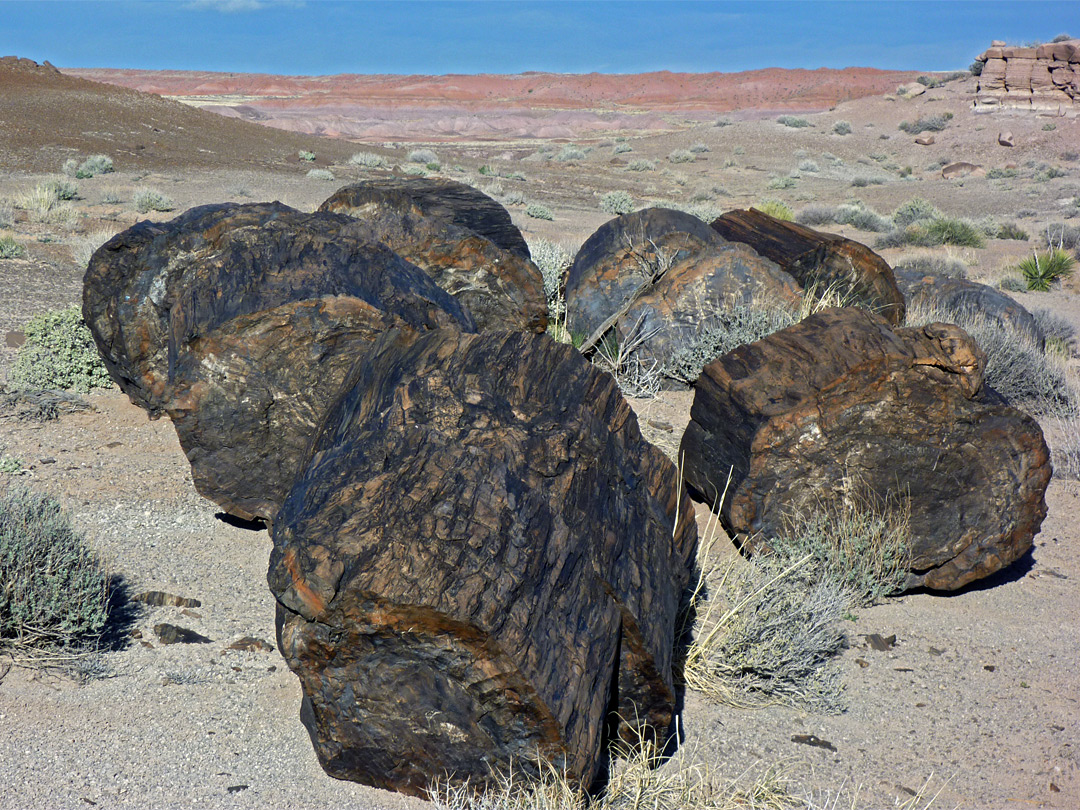 Large log sections