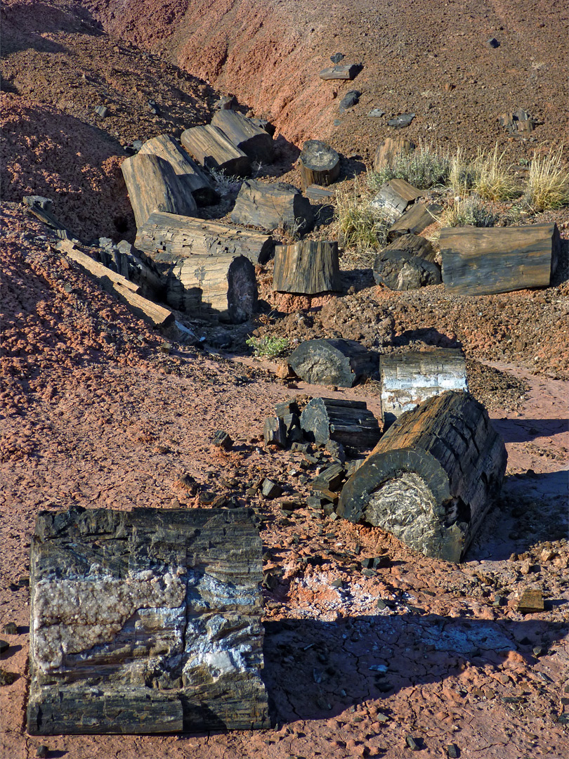 Petrified wood, semi crystalline