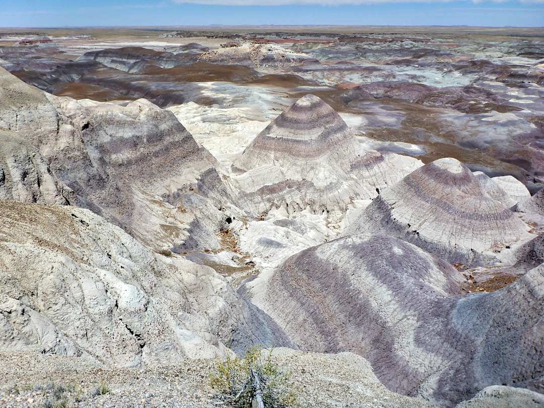 Purple/gray landscape