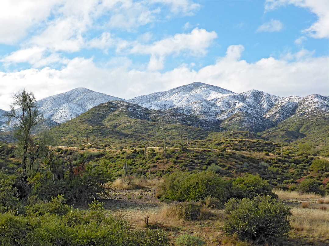 Snow-covered mountains