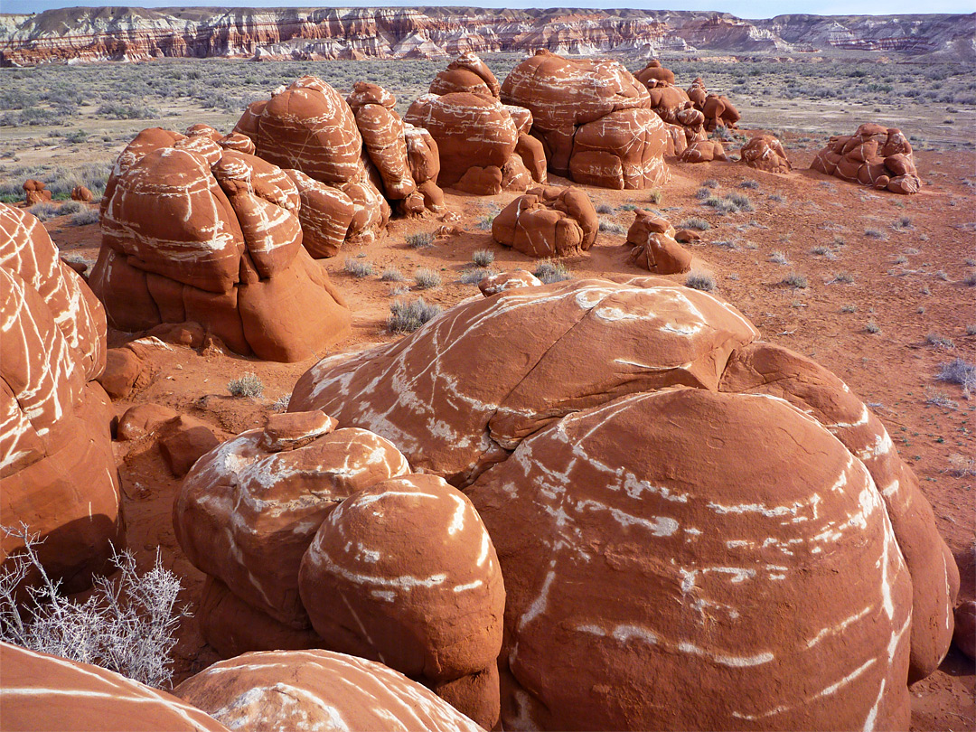 Line of boulders