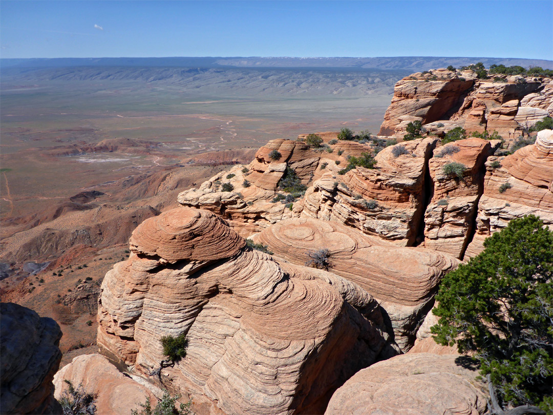 Thin-layered sandstone