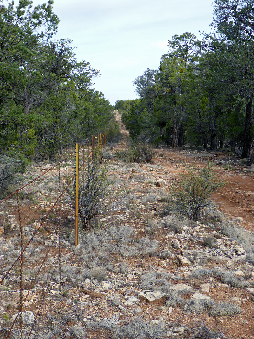 Boundary Road