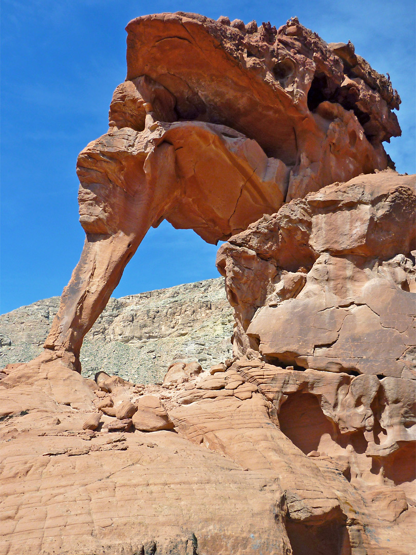 Delicate arch