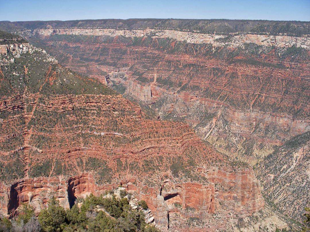 Walhalla Plateau