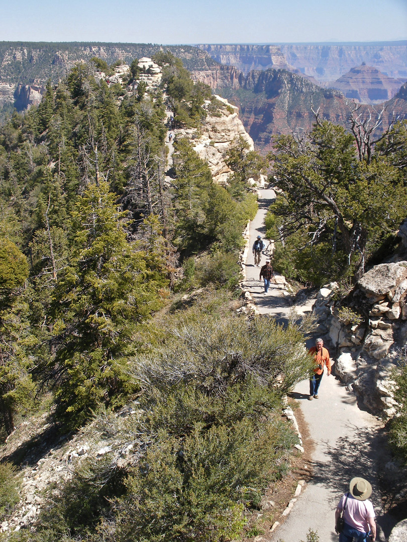 Hikers along the trail