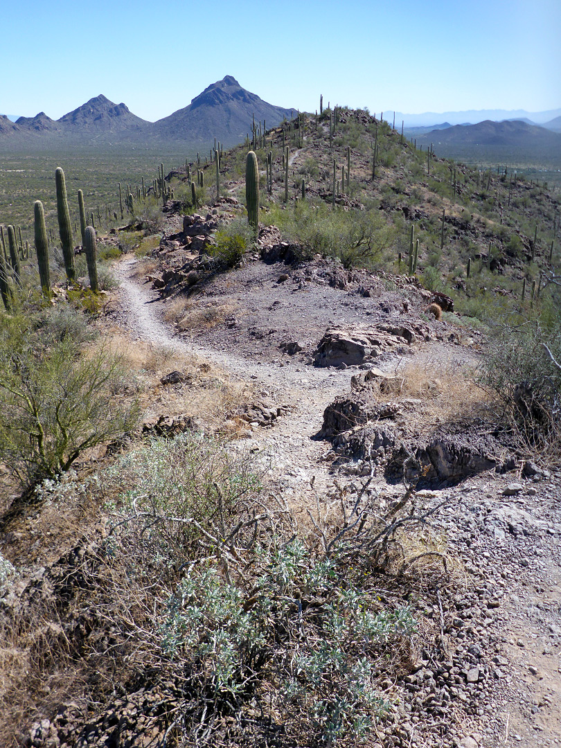 Rocky trail