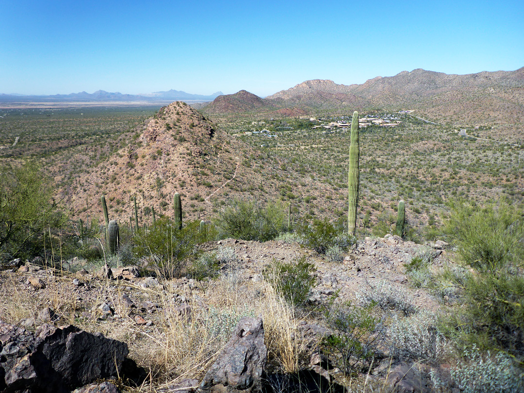 North end of the ridge