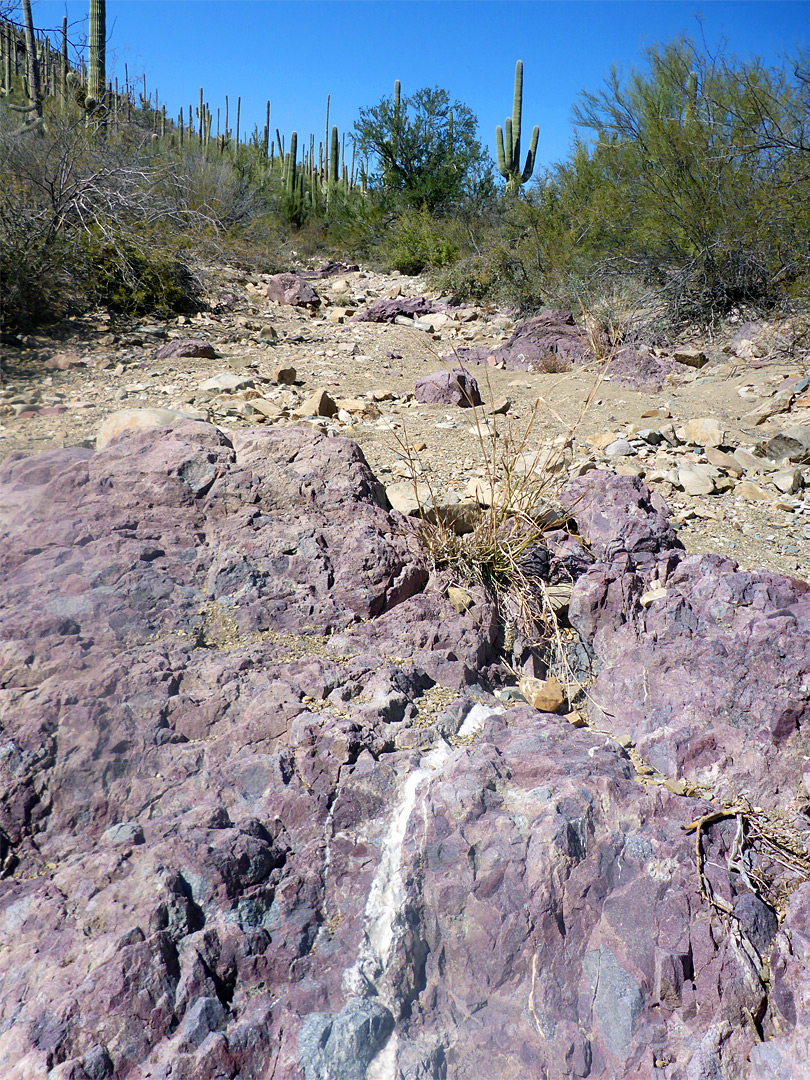 Purple rock