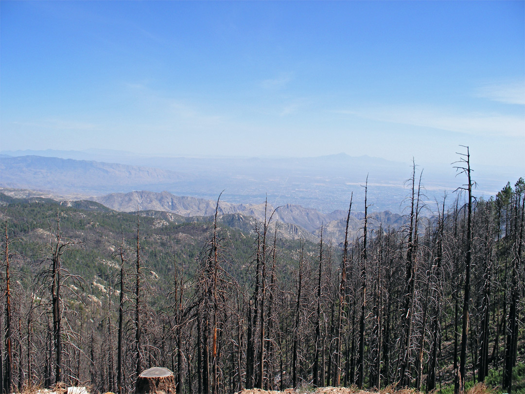 View south from the summit