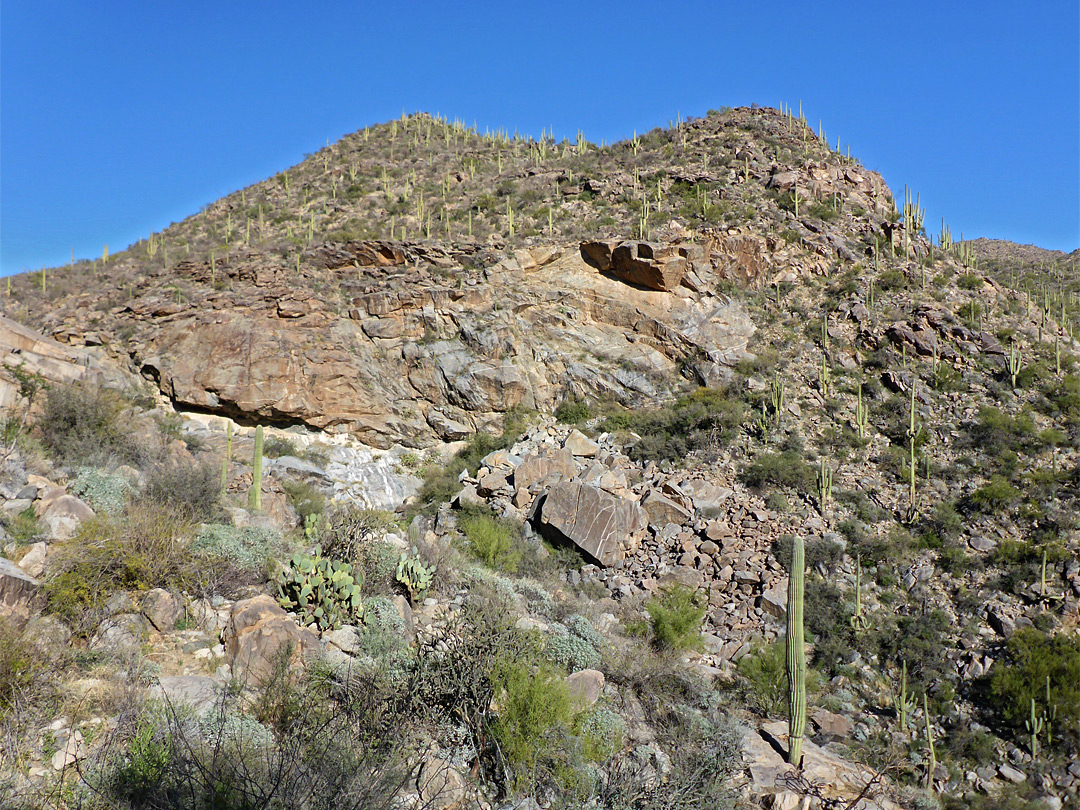 Cliff and boulders