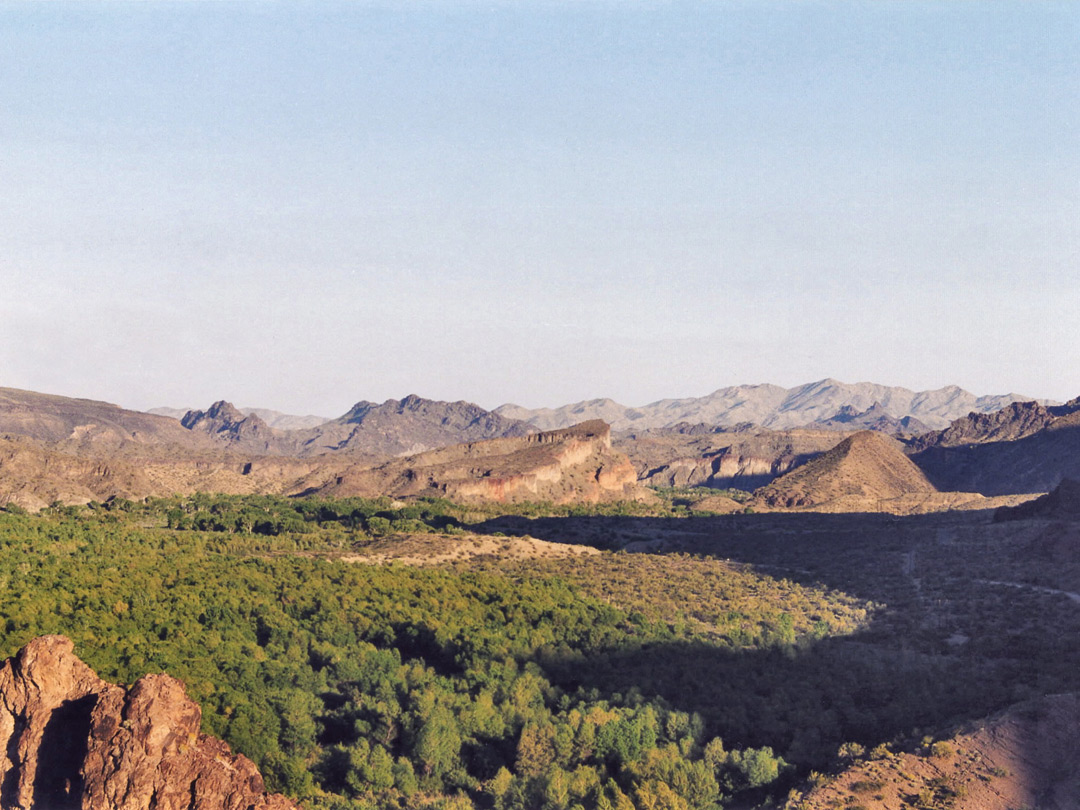 Woodland in the national wildlife refuge