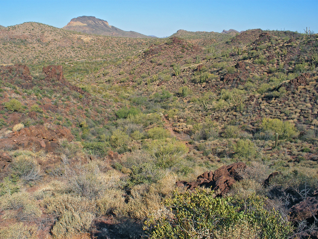 Trail to Bull Pasture