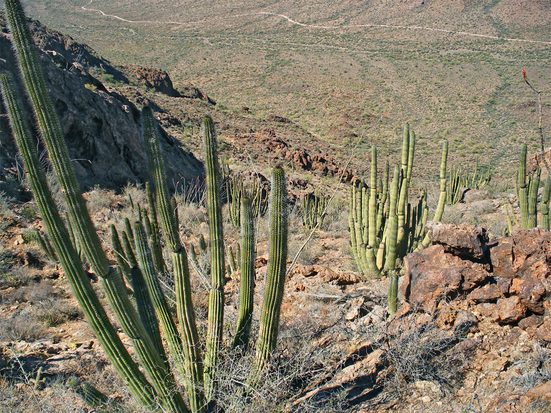 Rocky hillside