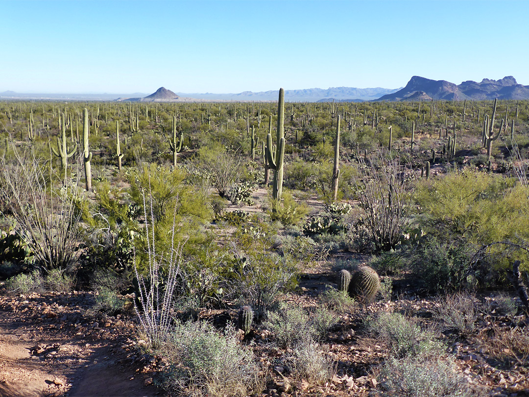 Hills to the northeast